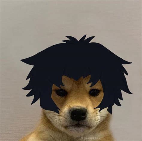 Dog With A Hat But Its Akira Made By Me Devilmancrybaby
