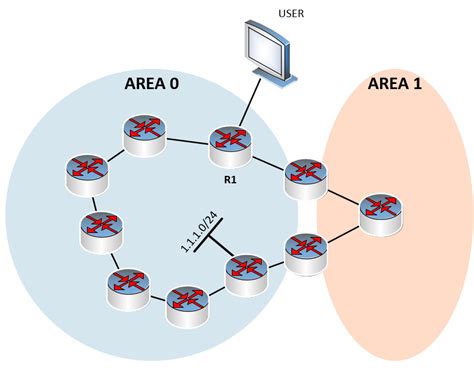 Ospf Path Selection Explained Lessons Discussion Networklessons