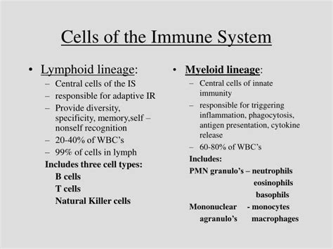 Ppt Cells Of The Immune System Powerpoint Presentation Id1138509