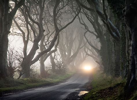 The Stunning Tree Tunnel You Saw On ‘game Of Thrones Is Real And Can