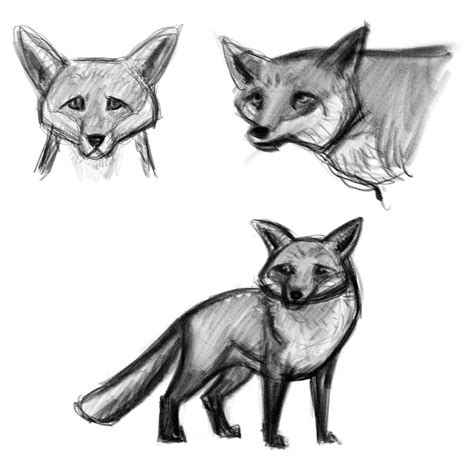 Garry Donzelli Gray Cute Fox Character Design