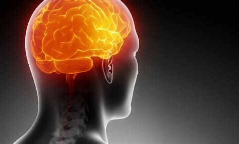 Rutgers Study New Unique Approach For Treating Traumatic Brain Injury