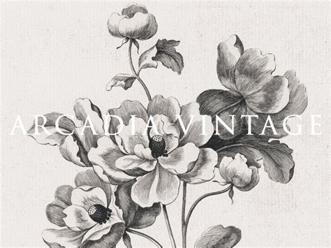 Vintage Flower Etching Printable Floral Wall Art Black And Etsy