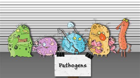 Design And Technology Gcse The Causes Of Food Poisoning Bbc Teach