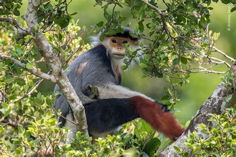 Here are 15 great tips to take breathtaking wildlife photos. The best wildlife photos taken this year - including one from South Africa