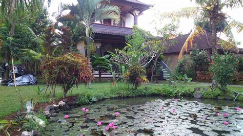 Убуд на hotellook от 900 ₽ за ночь. Swan Inn, Bali: An Affordable Hotel In The Center Of Ubud ...