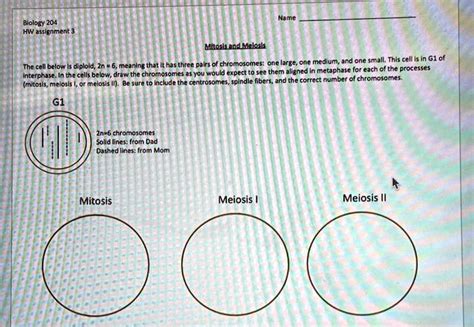 SOLVED Title Biology 204 HW Assignment 3 Mitosis And Meiosis The