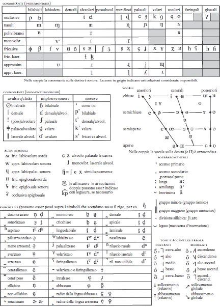 Trainer lessicale, tabelle di coniugazione verbi, funzione di pronuncia gratis. ALFABETO FONETICO INTERNAZIONALE PDF