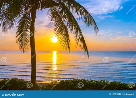 Beautiful Outdoor Tropical Landscape Of Sea Ocean Beach With Coconut