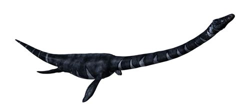 Plesiosaurus Mesozoica Game Wikia Fandom Powered By Wikia