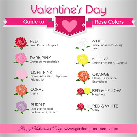 Rose Color Meaning Chart All Dcfx