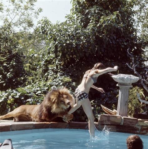 Tippi Hedren ‘lion Killing Affected Me Physically Daily Dish