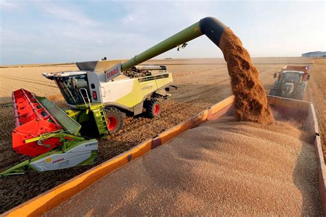 Global Wheat Supply To Crisis Levels Big China Stocks Wont Provide