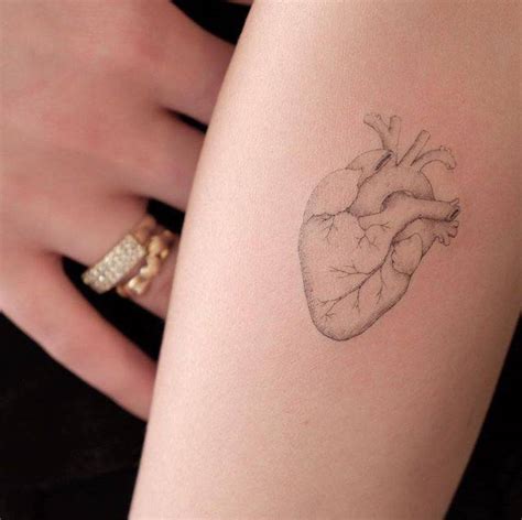 Single Needle Anatomical Heart Tattoo On The Inner