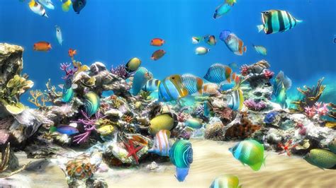 Dream Aquarium Screensaver 124 Free Full Version Download Aprijer