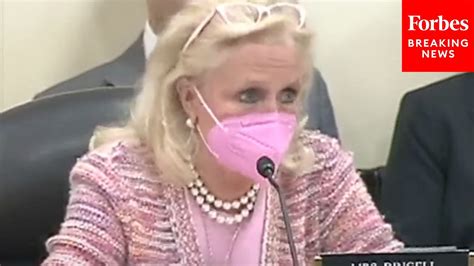 Debbie Dingell We Were Not Ready For The Pandemic Youtube