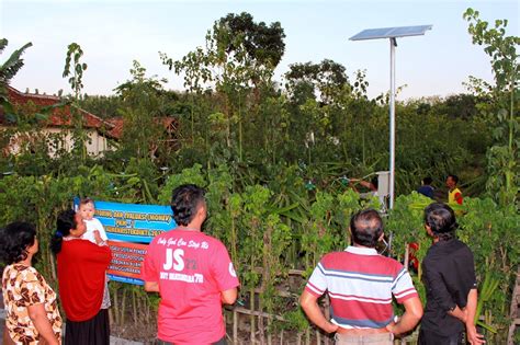 Bentuk buah naga sangat unik dan khas. Mahasiswa ITN Malang Manfaatkan Solar Cell Agar Pohon Buah ...