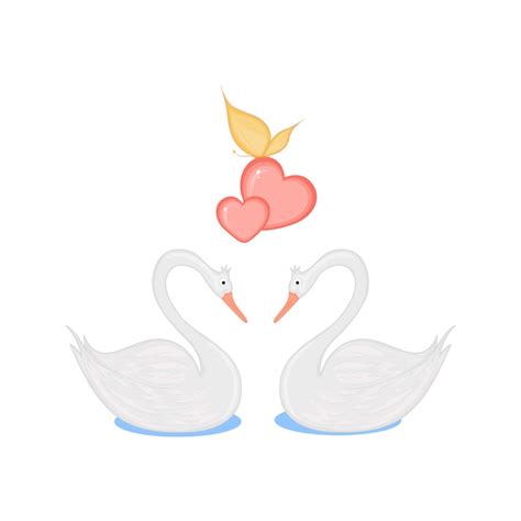 Image Of Two Loving Swans With Hearts Vector Premium Download