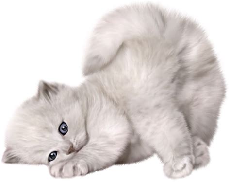 Cat Kitten Png Transparent Image Download Size 1400x1107px