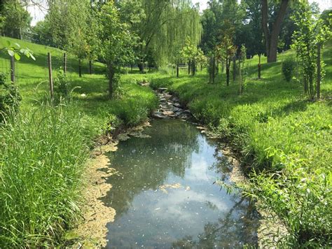 Celebrating the restoration of Donnybrook Stream - My Green Montgomery : My Green Montgomery