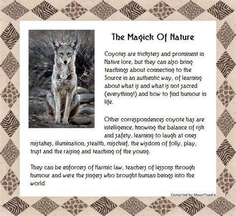 The Magick Of Nature. Coyote. | Animal spirit guides, Animal spirit