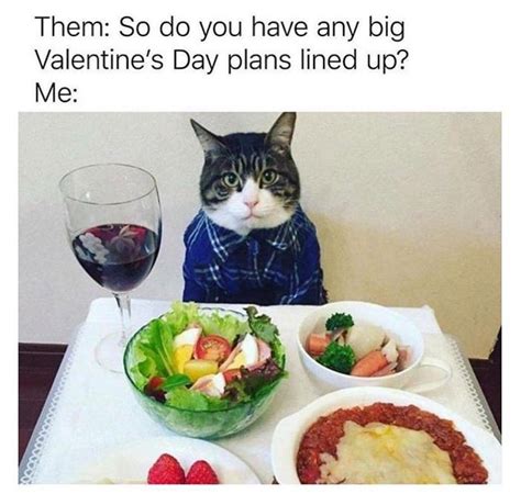 Pin By Eric Gerspach On Cat Stuff Valentines Day Memes Funny Cat