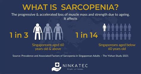 Sarcopenia In Seniors What You Need To Know Ninkatec