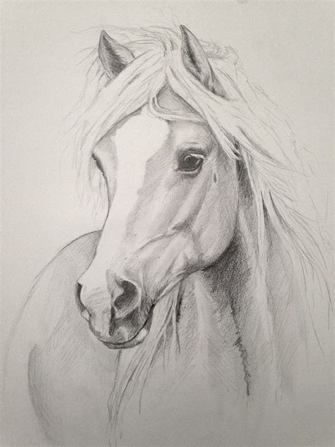 Beautiful Drawing Horse Drawings Animal Drawings Horse Sketch