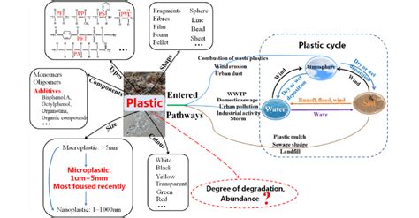 Diversity Of Plastic Pollution And Cycles Of Plastic In The