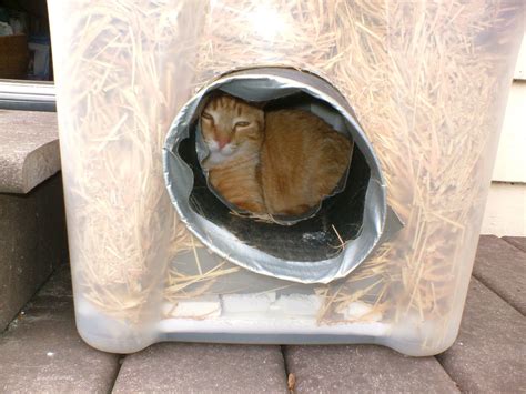 The Very Best Cats How To Make A Winter Shelter For An