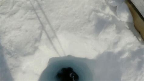 Scientists Use Hot Water To Drill Record 2km Hole In Antarctic Ice