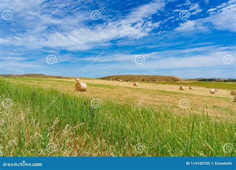 Spectacular Landscape Of Countryside Field With Straw Bales Stock Image
