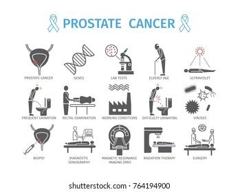 Prostate Cancer Symptoms Causes Treatment Line Stock Vector Royalty Free
