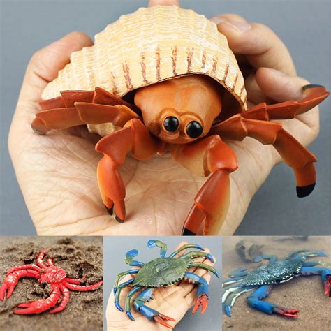 Travelwant Live Pet Hermit Crabs Large Hermit Crab Shells Encourages Growth And Well Being Of
