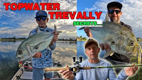How To Catch Topwater Trevally Tips Tackle Techniques Gold