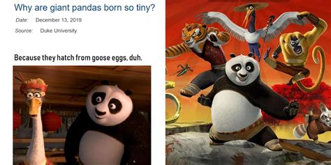 Kung Fu Panda 10 Memes Que Cierran La Película Escuela Secundaria