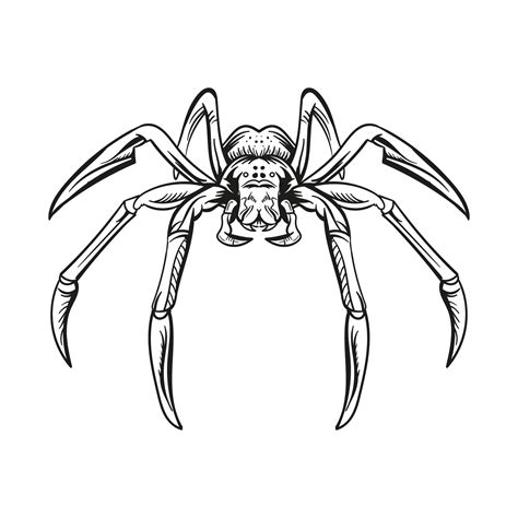 15 Best Spiders For Halloween Printable Pdf For Free At Printablee