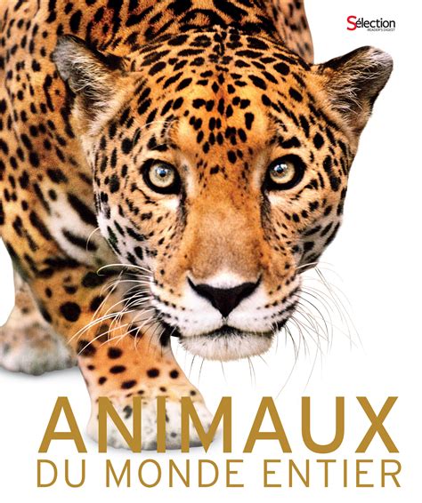 Livre Animaux Du Monde Entier Messageries Adp