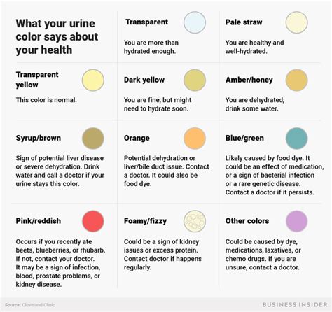 Whats Your Urine Color Today Rcoolguides