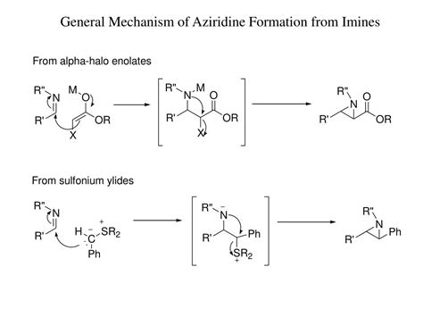 Ppt Stereoselective Routes To Aziridines Powerpoint Presentation