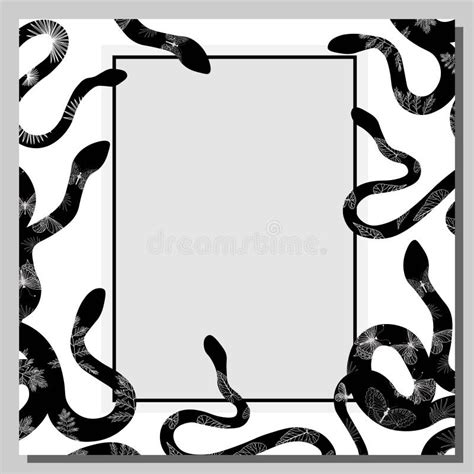 Snake The Background Is White With Black Snakes Frame Exotic