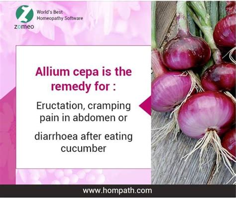 Homeo Tips 30 Allium Cepa Onion Alternative Medicine And Health