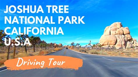 Usa Driving Tours Joshua Tree National Park California