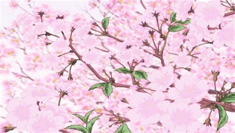 Anime Cherry Blossom Wallpaper  Cherry Blossom Petals Falling 