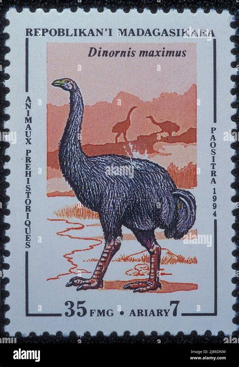 Giant Moa Dinornis Maximus On A Stamp From Madagascar Stock Photo Alamy