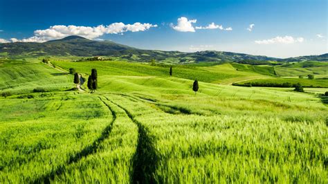 Tuscany Italy Green Fields Spring Wallpaper Nature And Landscape