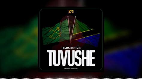Audio Harmonize Tuvushe Mp3 Download — Citimuzik