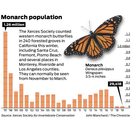 Slim Hope For Monarch Butterflies Population Holds Steady This Season