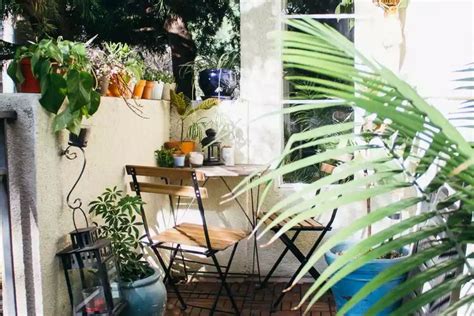 Ingin mempercantik rumah dengan tanaman hias? Tak Hanya untuk Medis, 4 Tanaman Ini Juga Cantik Jadi ...