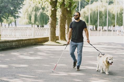 Free Photo Guide Dog Helping Blind Man In The City Handsome Blind